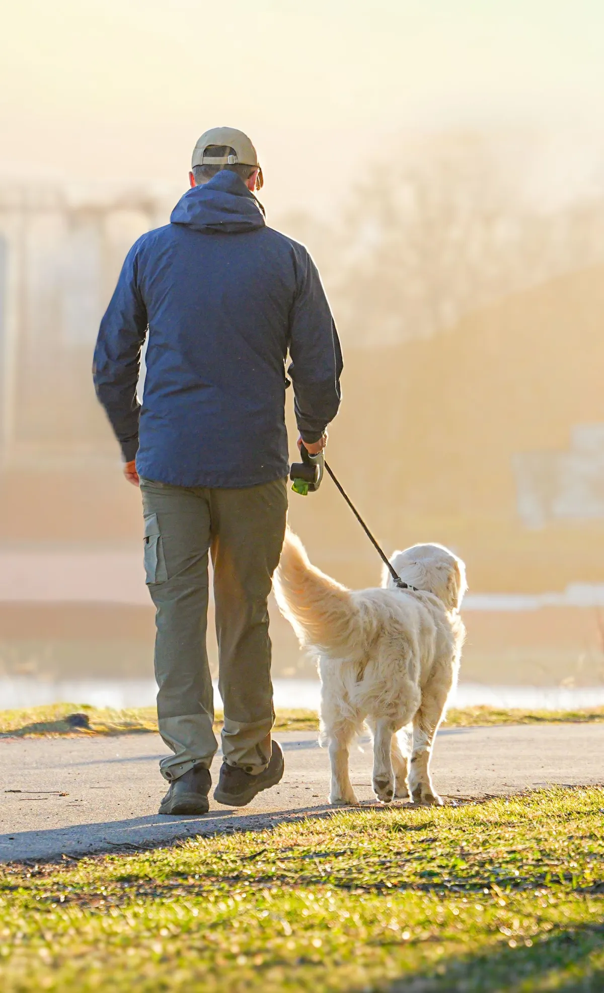 A pet parent walking a golden retriever on a sunlit park path